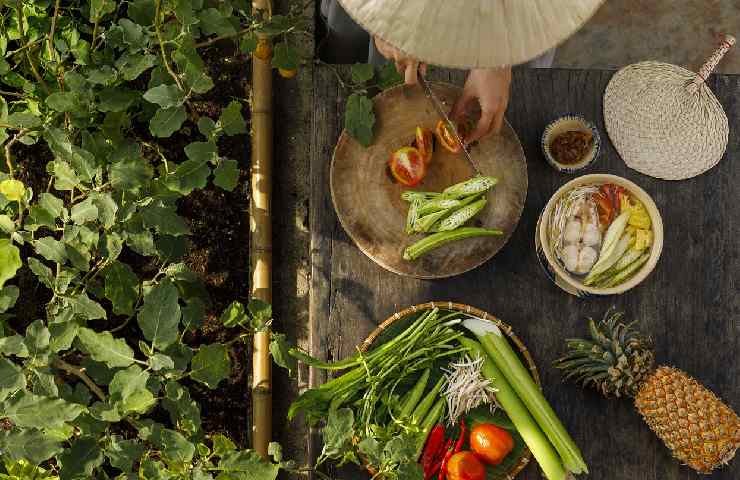 Natura e cibo