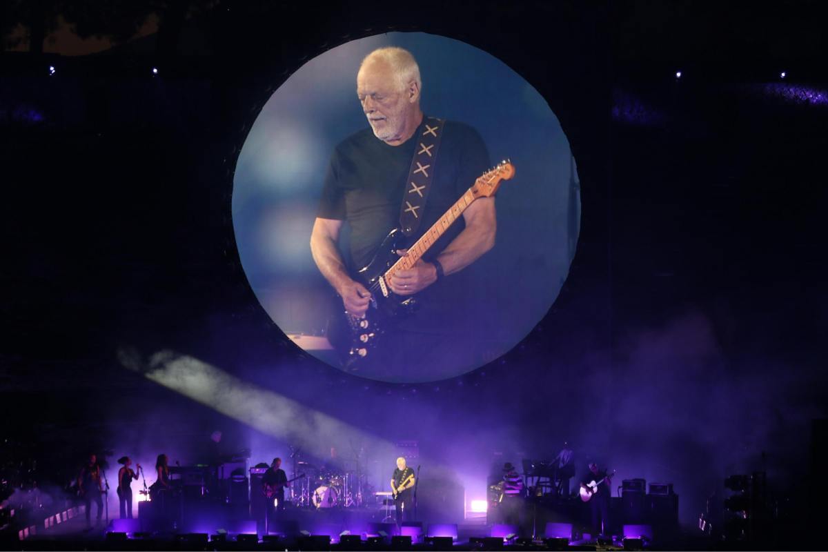 David Gilmour